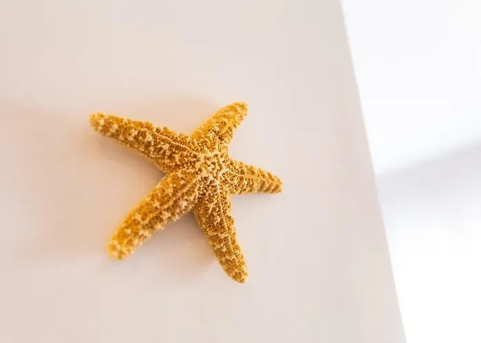 Stella Marina Apartment