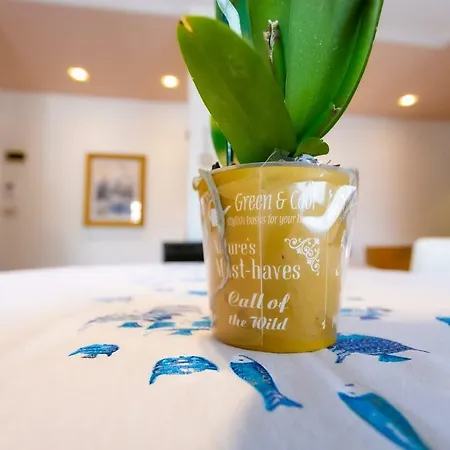 Stella Marina Apartment *