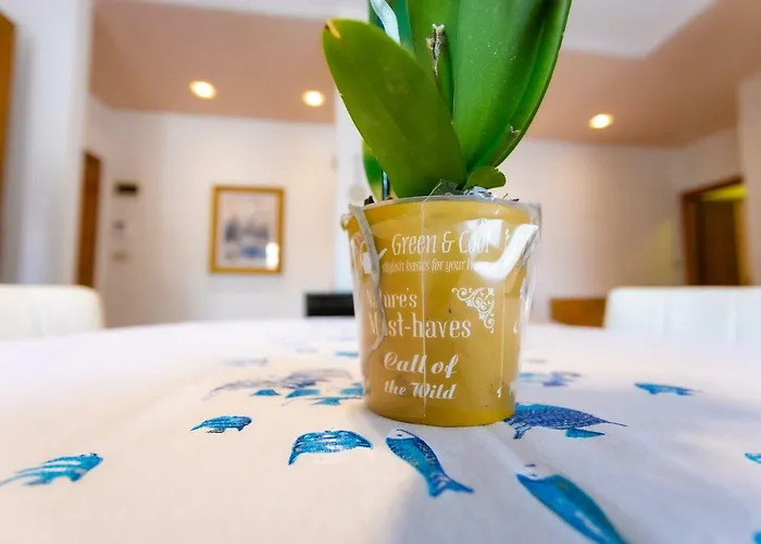 Stella Marina Apartmán *